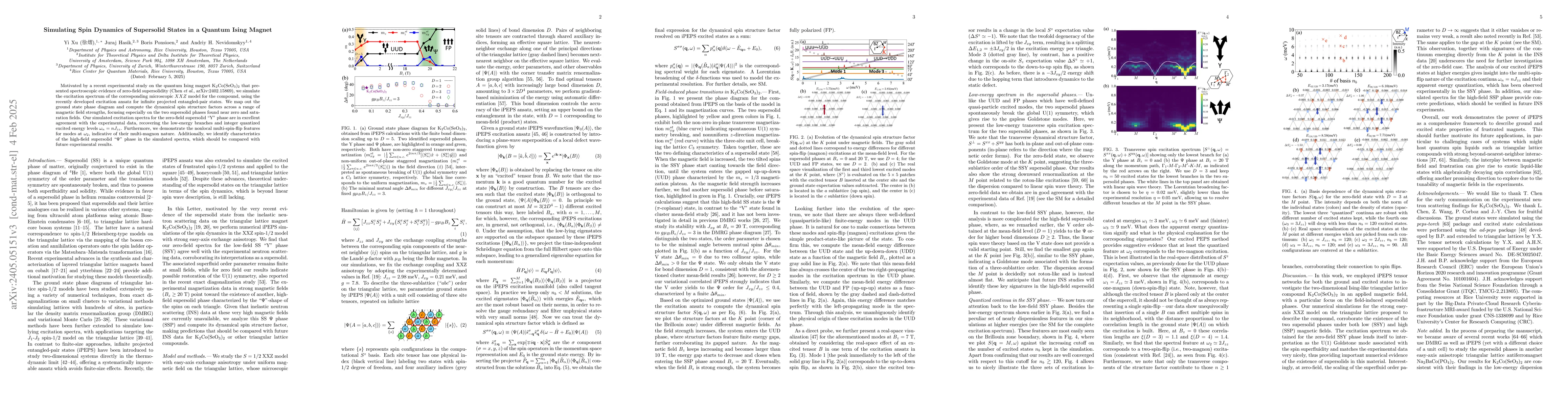 Thumbnail for Simulating Spin Dynamics of Supersolid States in a Quantum Ising Magnet