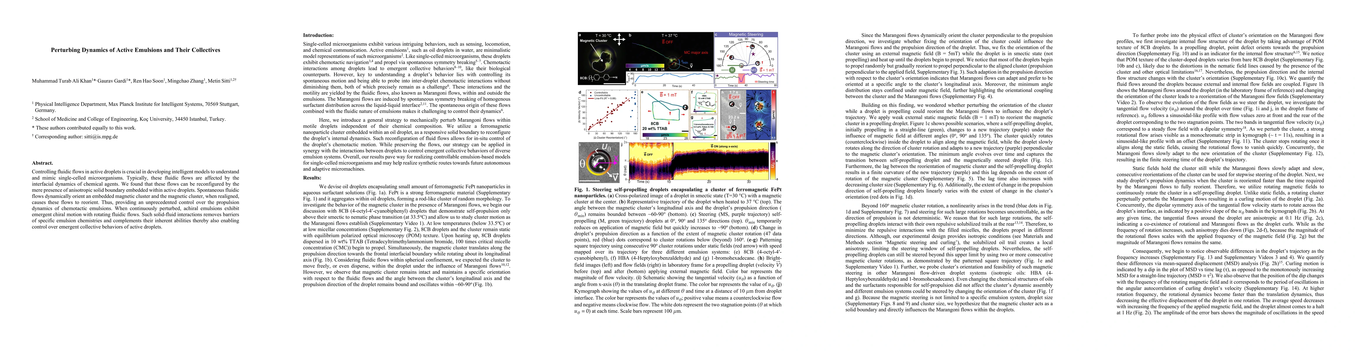 Thumbnail for Perturbing Dynamics of Active Emulsions and Their Collectives
