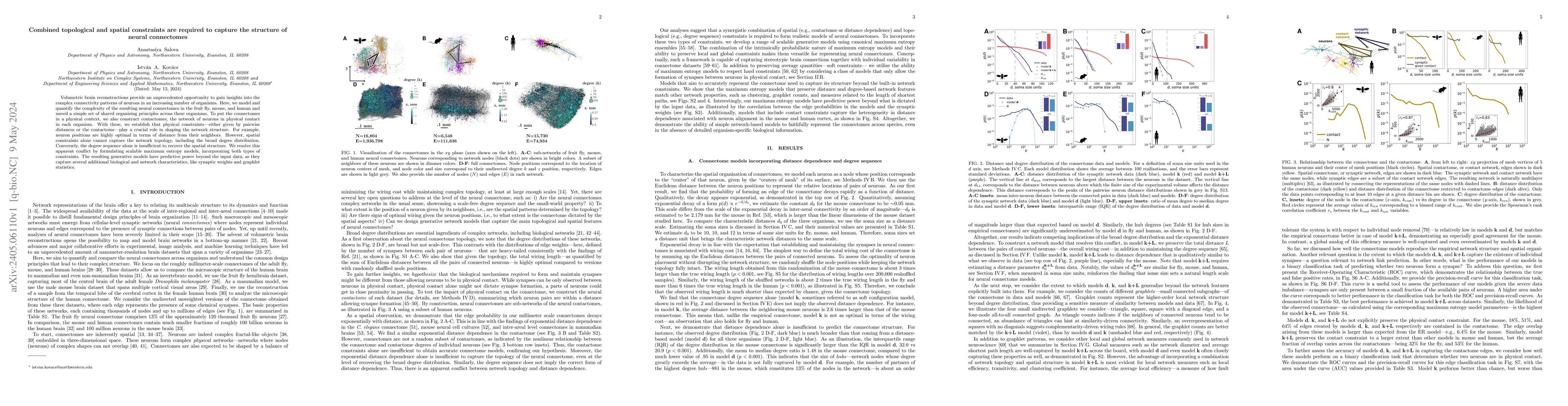 Thumbnail for Combined topological and spatial constraints are required to capture the
  structure of neural connectomes