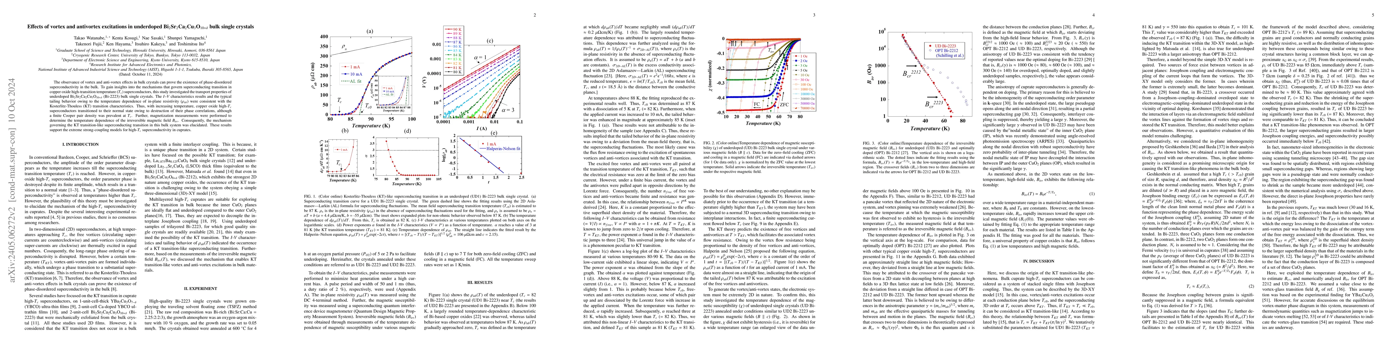 Thumbnail for Effects of vortex and anti-vortex excitations in underdoped Bi-2223 bulk
  single crystals