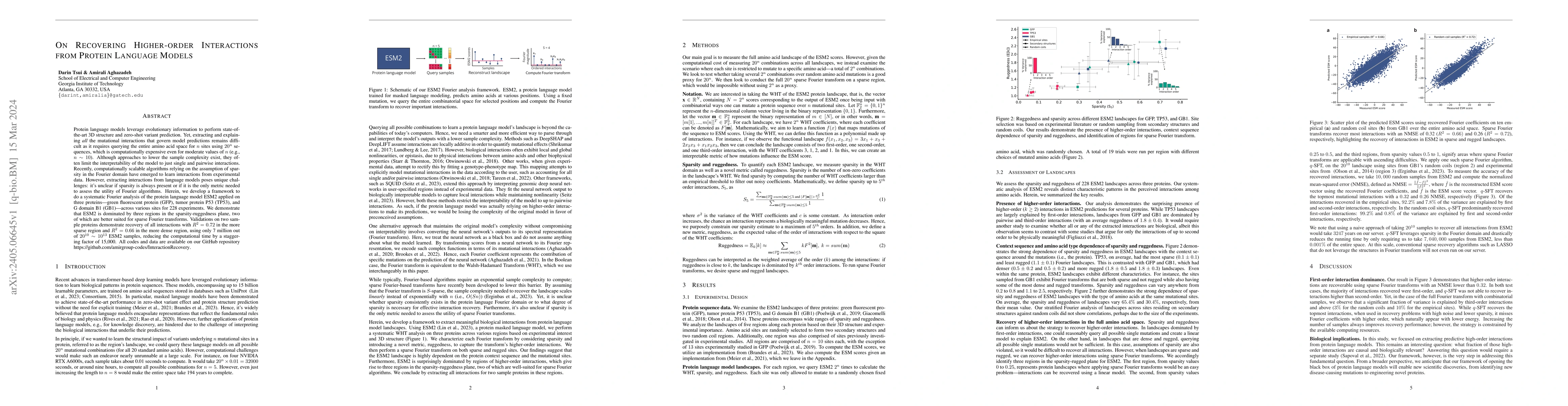 Thumbnail for On Recovering Higher-order Interactions from Protein Language Models