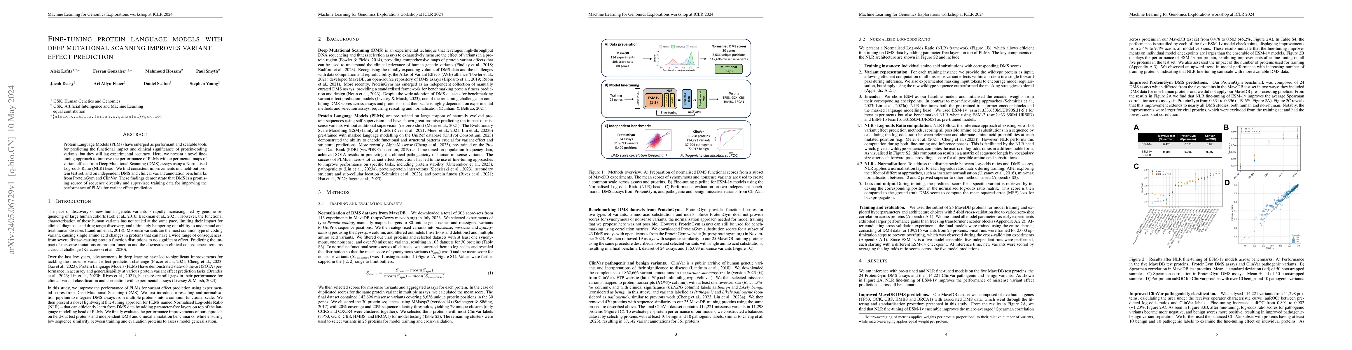 Thumbnail for Fine-tuning Protein Language Models with Deep Mutational Scanning
  improves Variant Effect Prediction