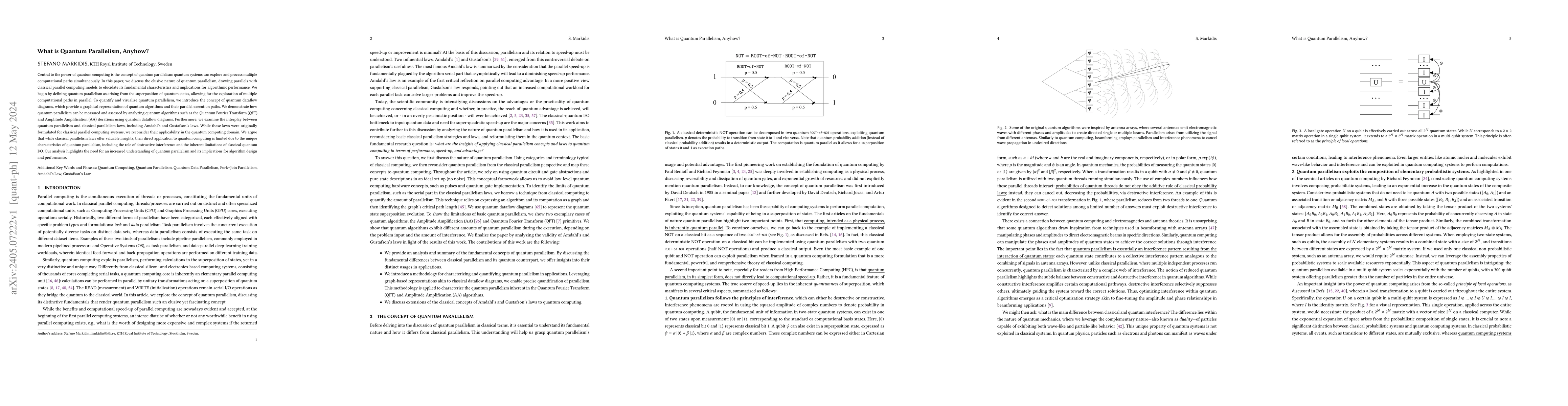 Thumbnail for What is Quantum Parallelism, Anyhow?