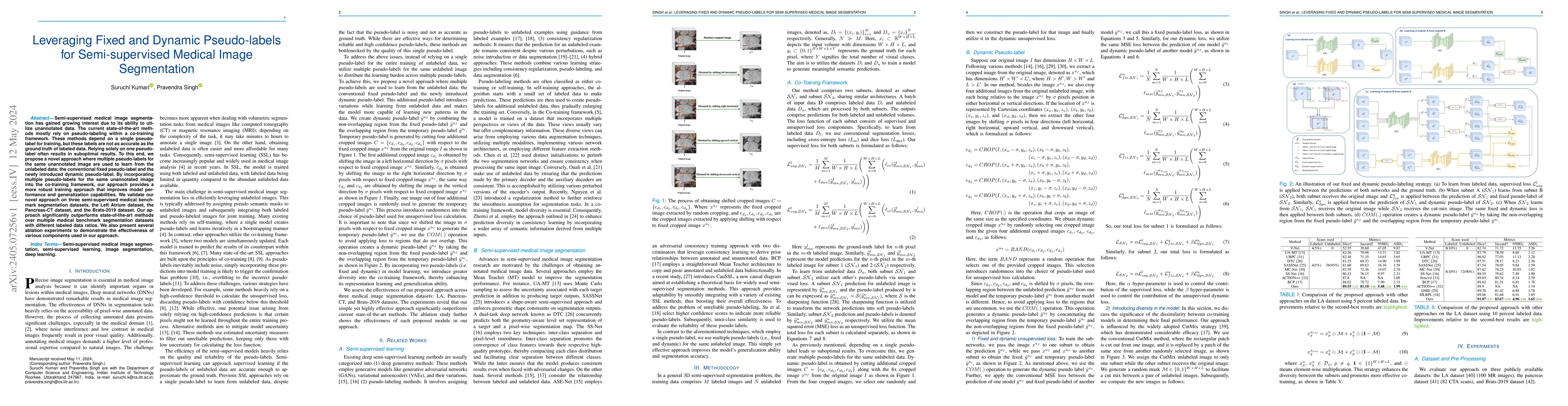 Thumbnail for Leveraging Fixed and Dynamic Pseudo-labels for Semi-supervised Medical
  Image Segmentation