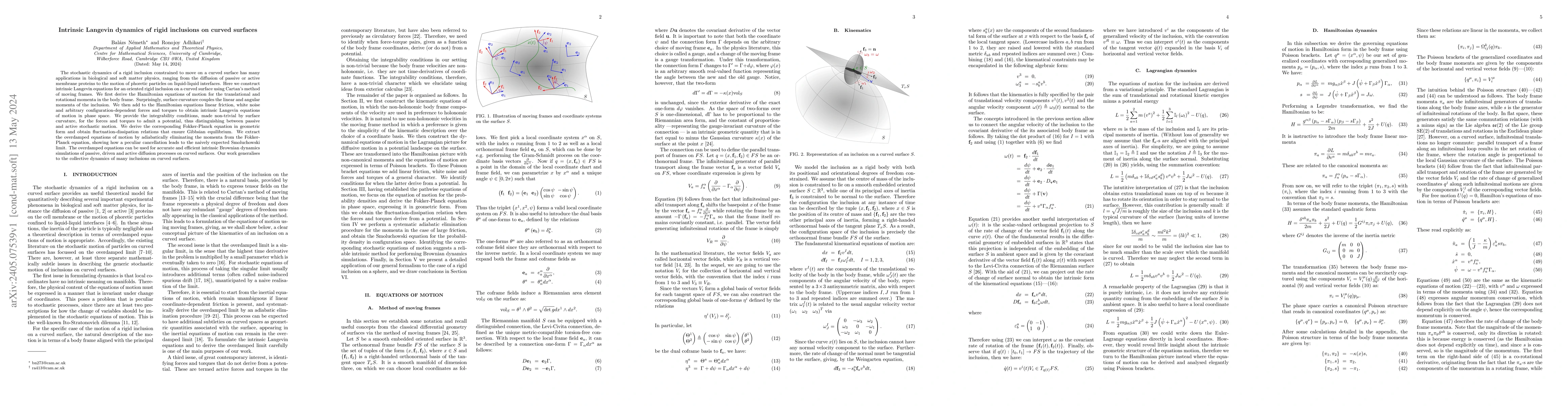 Thumbnail for Intrinsic Langevin dynamics of rigid inclusions on curved surfaces
