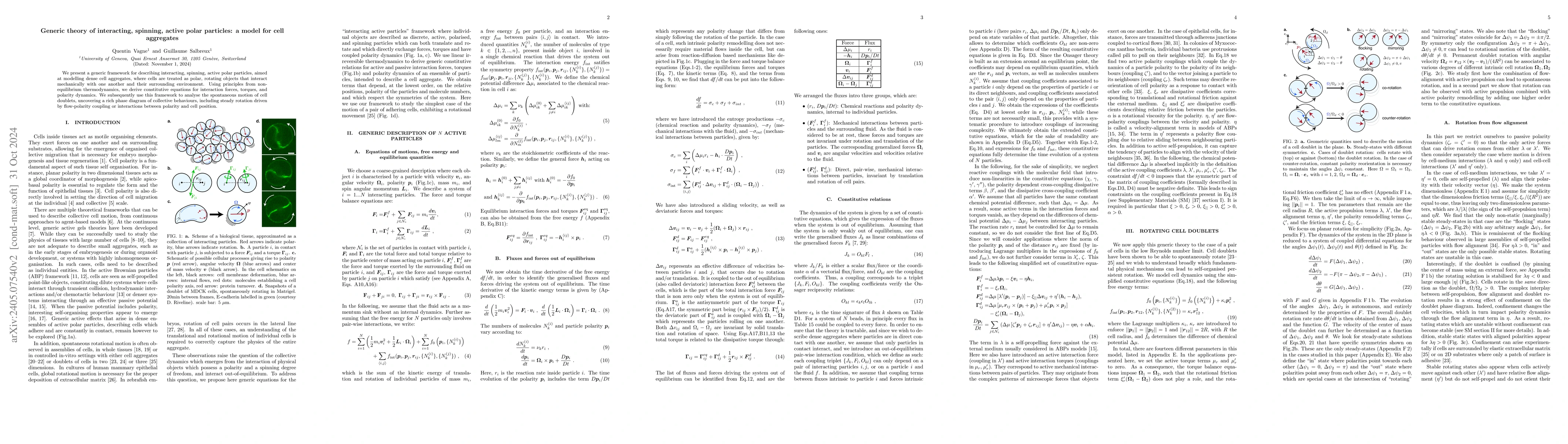Thumbnail for Theory of cell aggregates as interacting, spinning, active polar
  particles