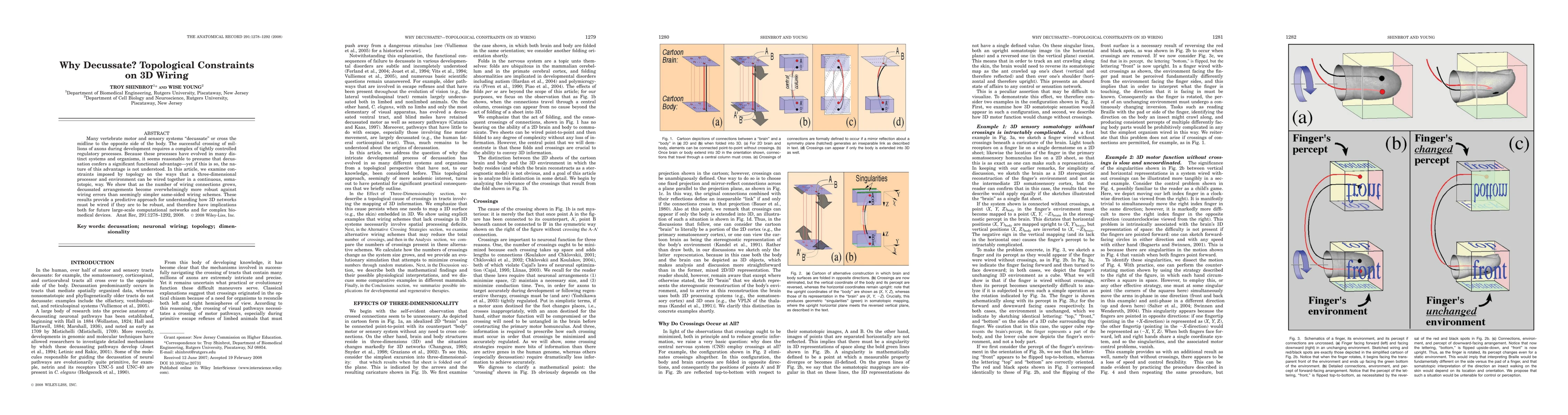 Thumbnail for Why Decussate? Topological Constraints on 3D Wiring
