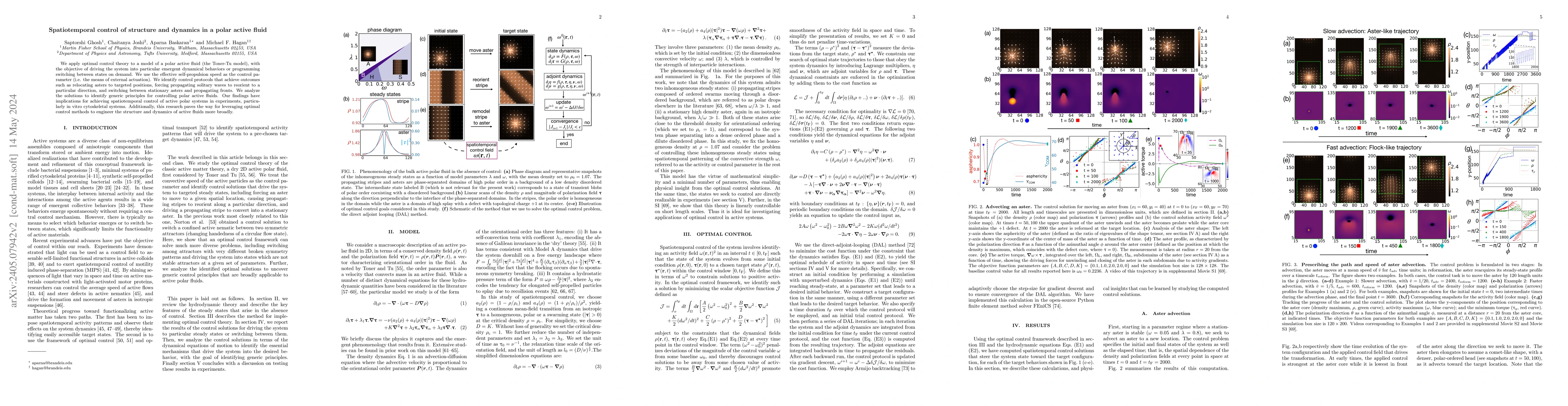 Thumbnail for Spatiotemporal control of structure and dynamics in a polar active fluid