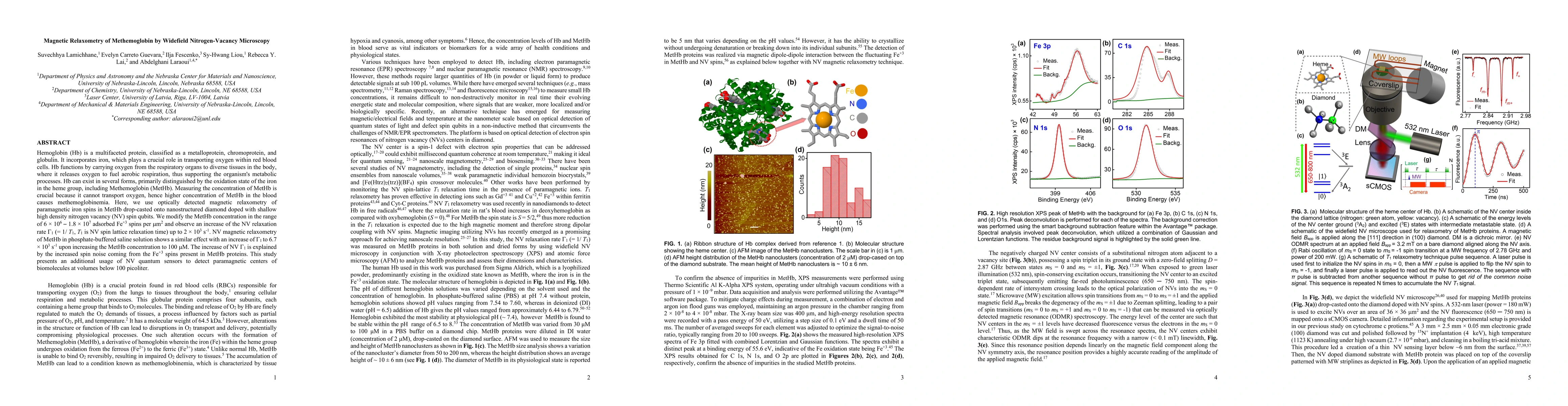 Thumbnail for Magnetic Relaxometry of Hemoglobin by Widefield Nitrogen-Vacancy
  Microscopy