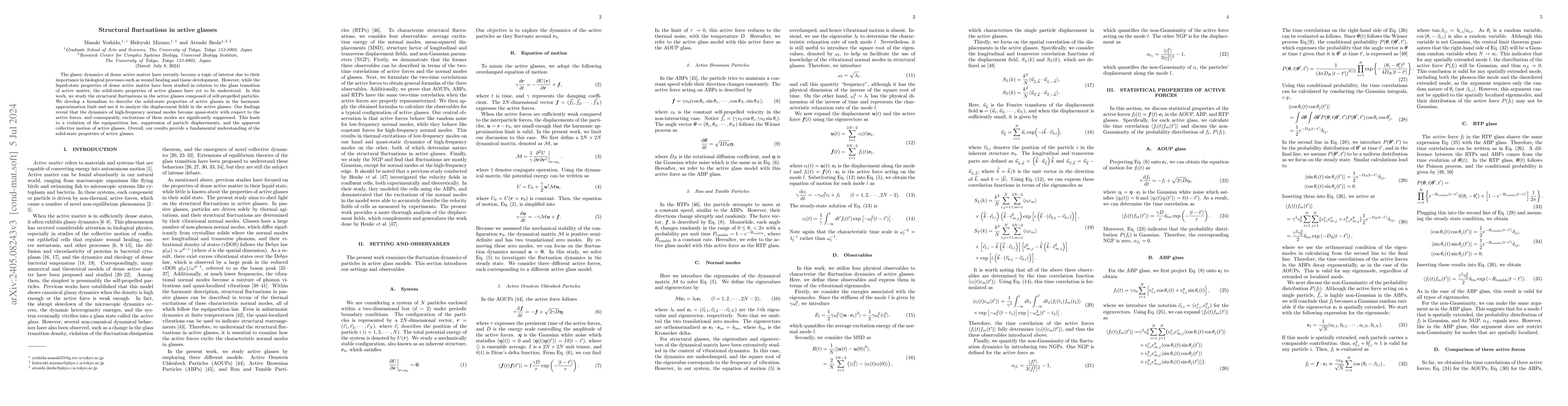 Thumbnail for Structural fluctuations in active glasses