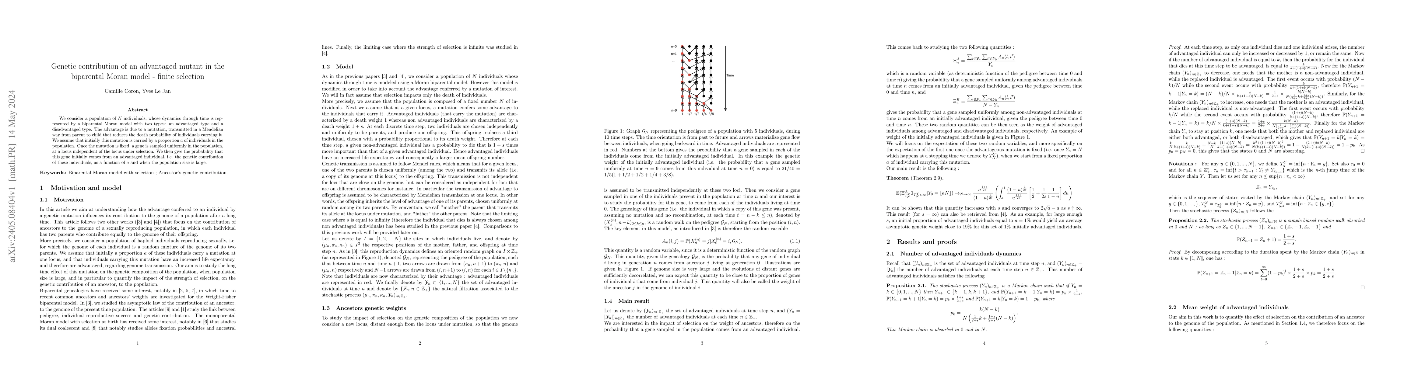 Thumbnail for Genetic contribution of an advantaged mutant in the biparental Moran
  model -- finite selection