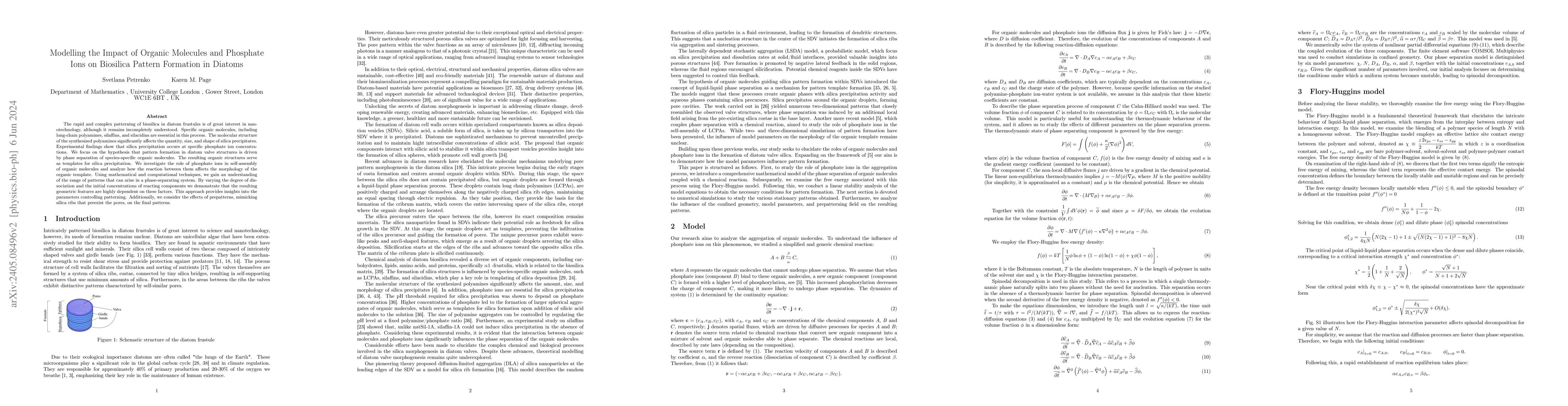 Thumbnail for Modelling the Impact of Organic Molecules and Phosphate Ions on
  Biosilica Pattern Formation in Diatoms