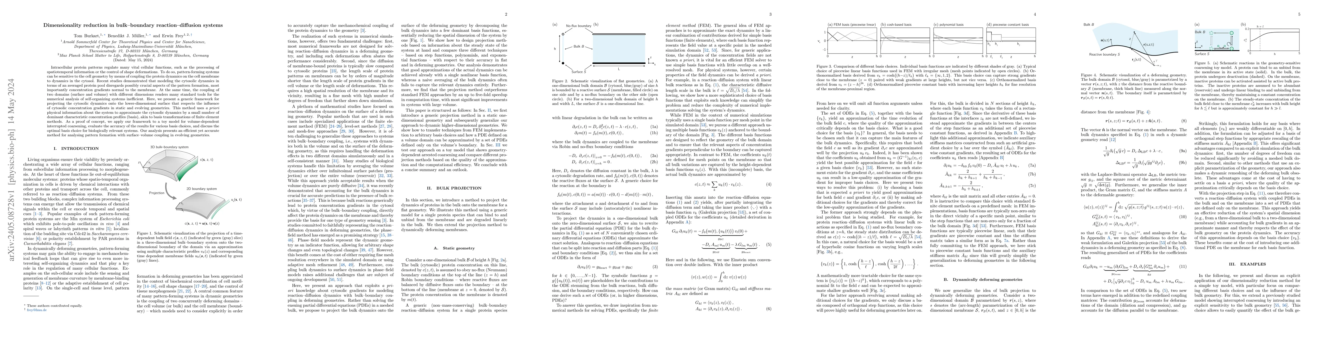 Thumbnail for Dimensionality reduction in bulk-boundary reaction-diffusion systems
