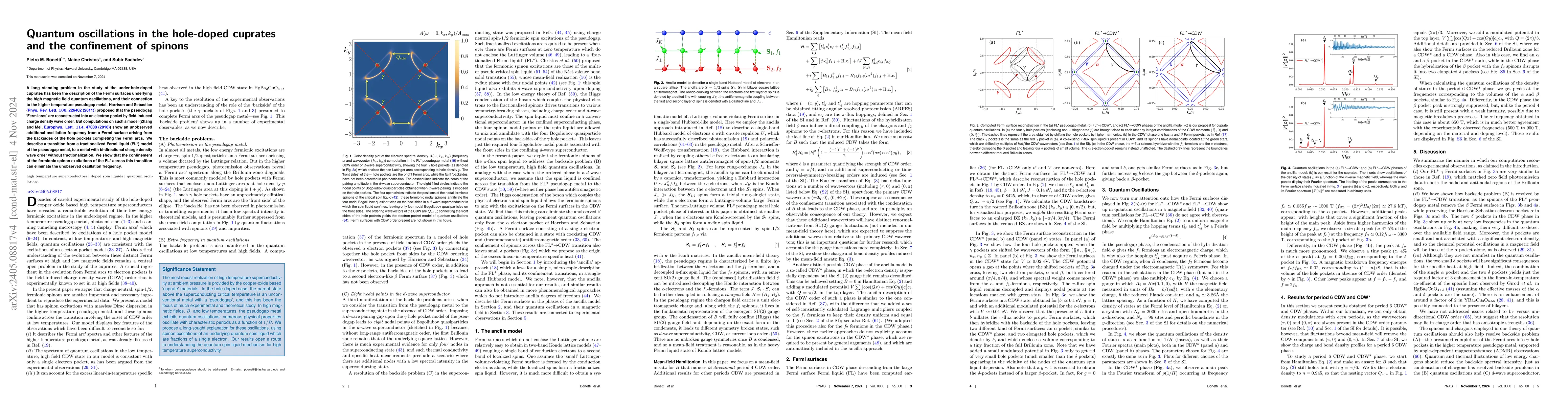 Thumbnail for Quantum oscillations in the hole-doped cuprates and the confinement of
  spinons