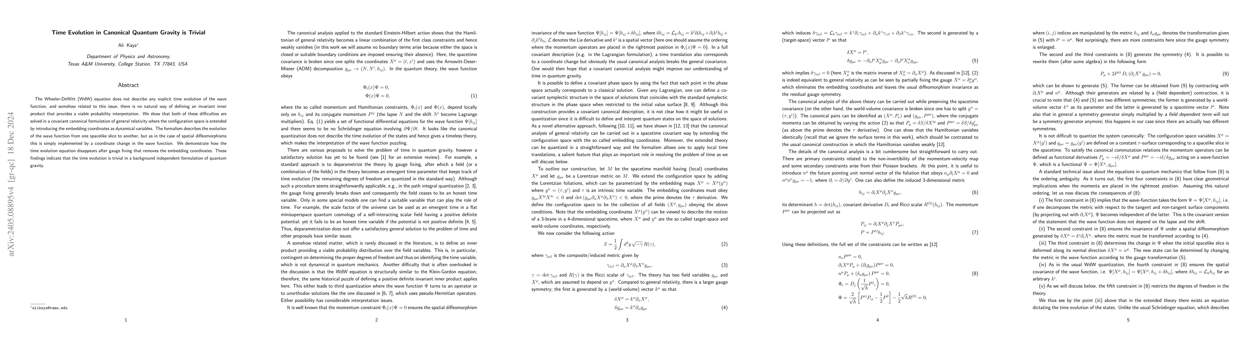 Thumbnail for Time Evolution in Canonical Quantum Gravity is Trivial