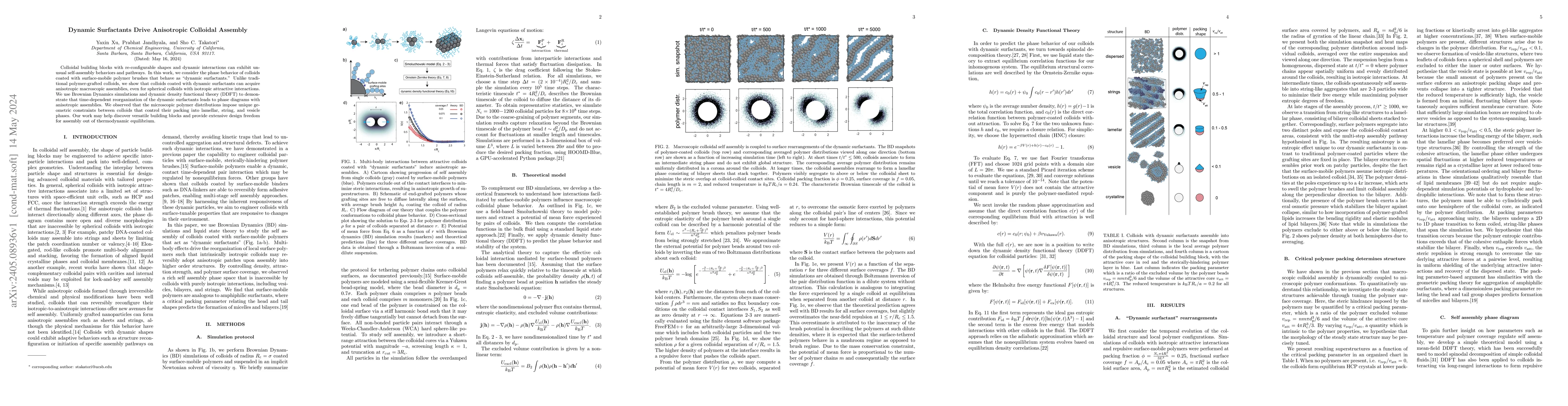 Thumbnail for Dynamic Surfactants Drive Anisotropic Colloidal Assembly