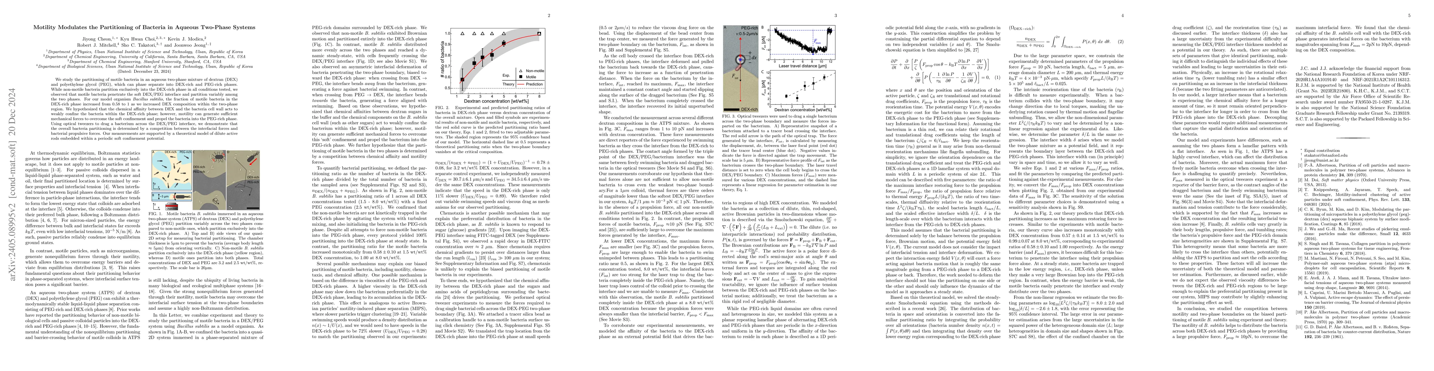 Thumbnail for Motility Modulates the Partitioning of Bacteria in Aqueous Two-Phase
  Systems