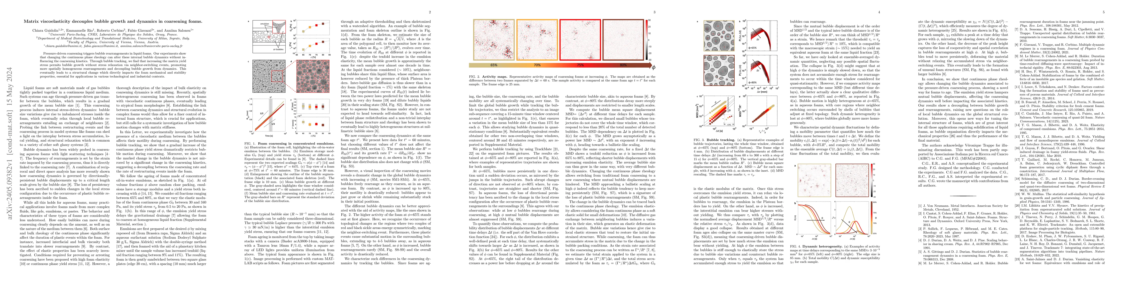 Thumbnail for Matrix viscoelasticity decouples bubble growth and dynamics in
  coarsening foams