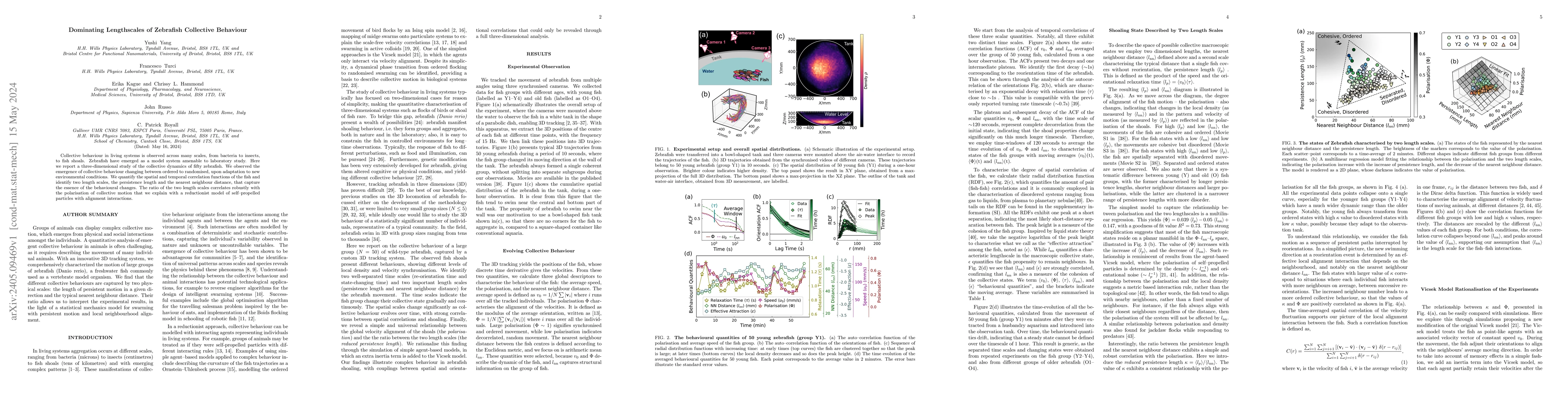 Thumbnail for Dominating Lengthscales of Zebrafish Collective Behaviour