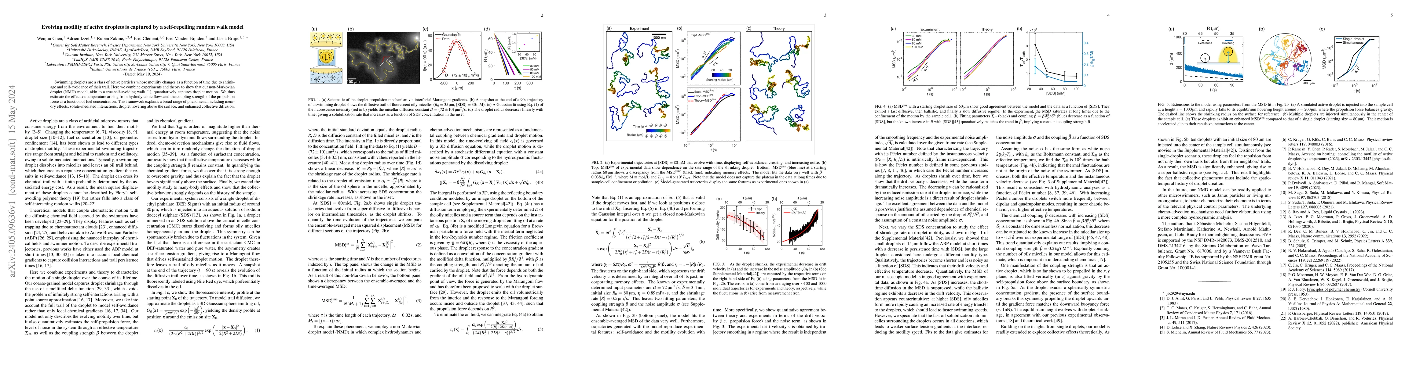 Thumbnail for Evolving motility of active droplets is captured by a self-repelling
  random walk model