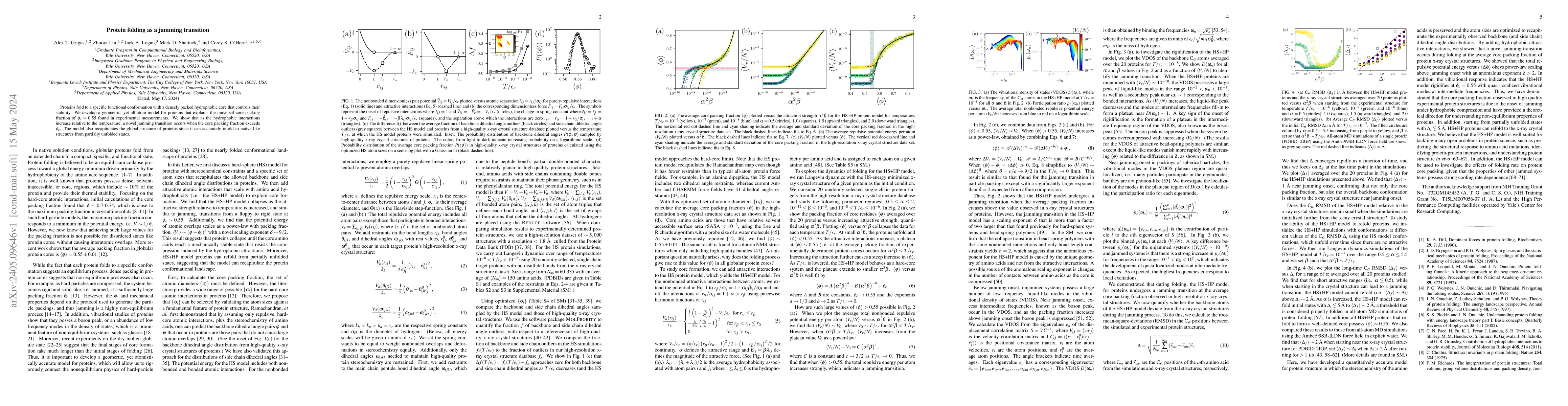 Thumbnail for Protein folding as a jamming transition
