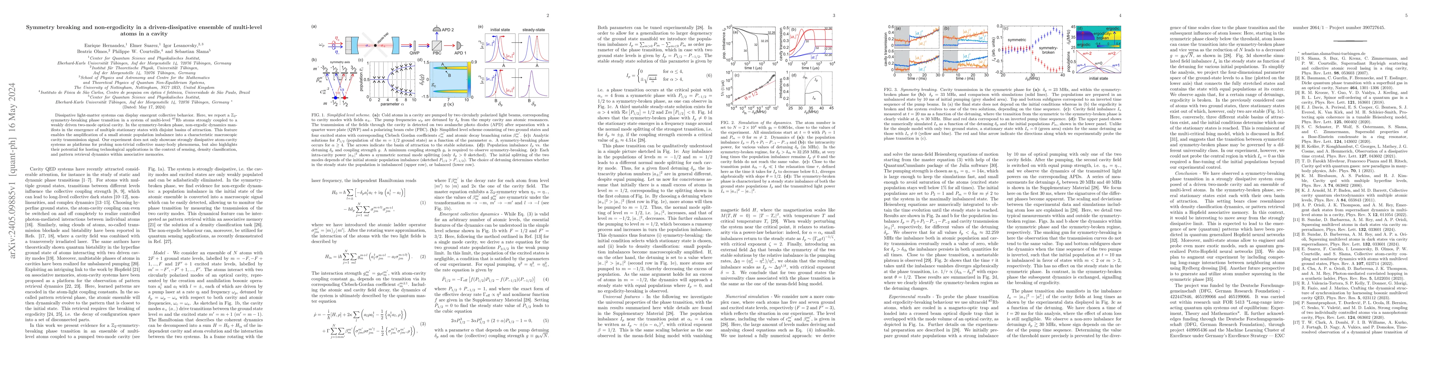 Thumbnail for Symmetry breaking and non-ergodicity in a driven-dissipative ensemble of
  multi-level atoms in a cavity