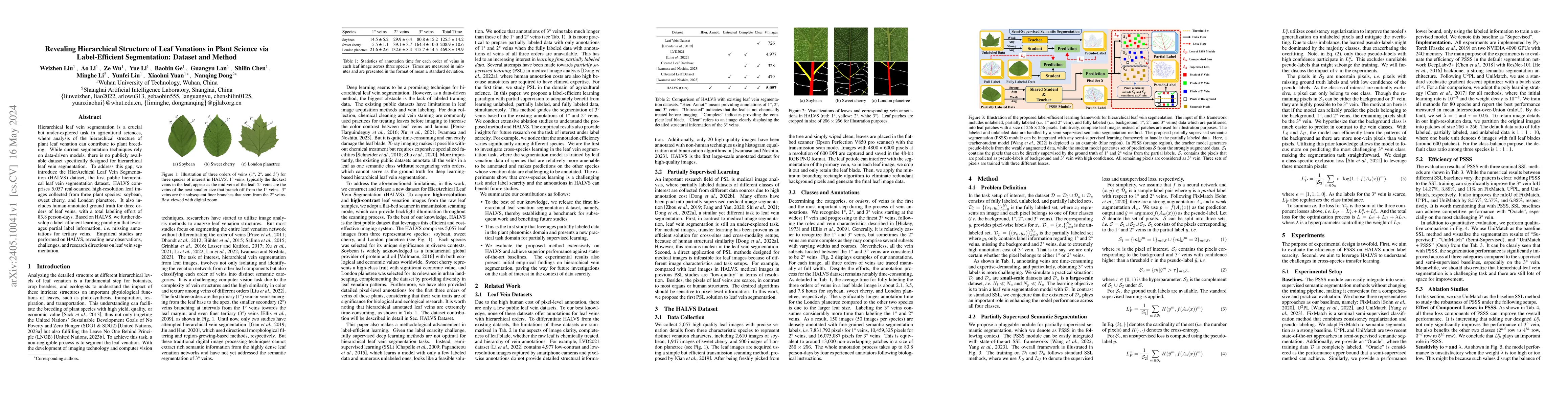 Thumbnail for Revealing Hierarchical Structure of Leaf Venations in Plant Science via
  Label-Efficient Segmentation: Dataset and Method