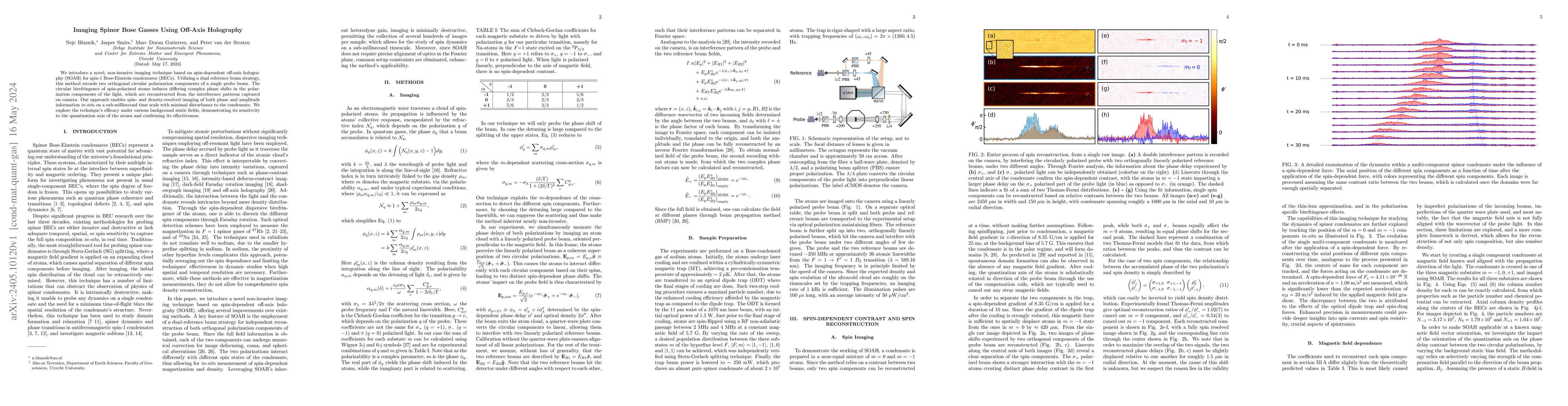 Thumbnail for Imaging Spinor Bose Gasses Using Off-Axis Holography