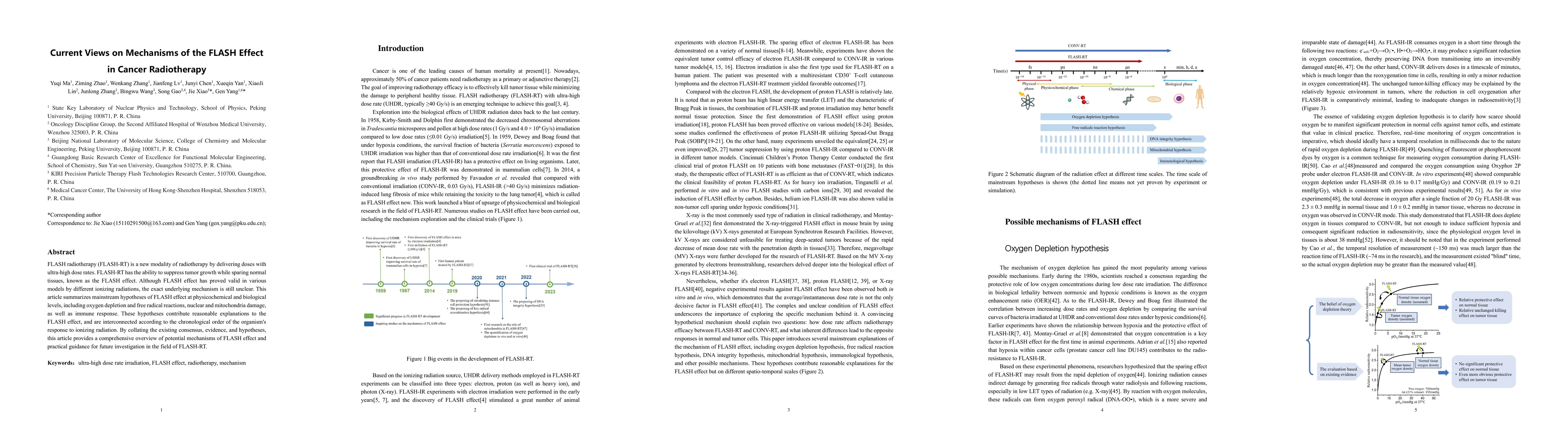 Thumbnail for Current Views on Mechanisms of the FLASH Effect in Cancer Radiotherapy