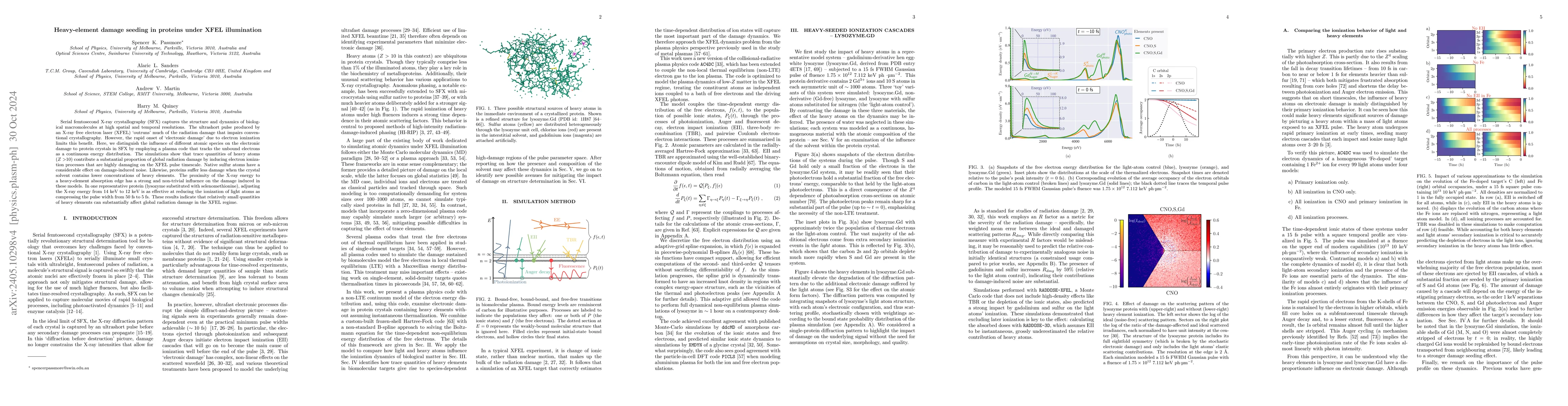 Thumbnail for Heavy-element damage seeding in proteins under X-ray free electron laser
  illumination conditions
