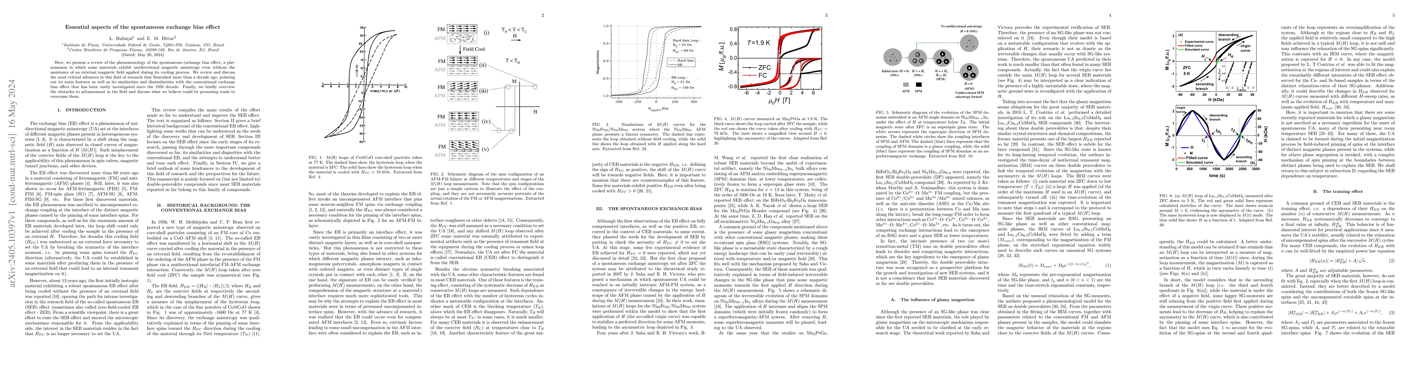 Thumbnail for Essential aspects of the spontaneous exchange bias effect