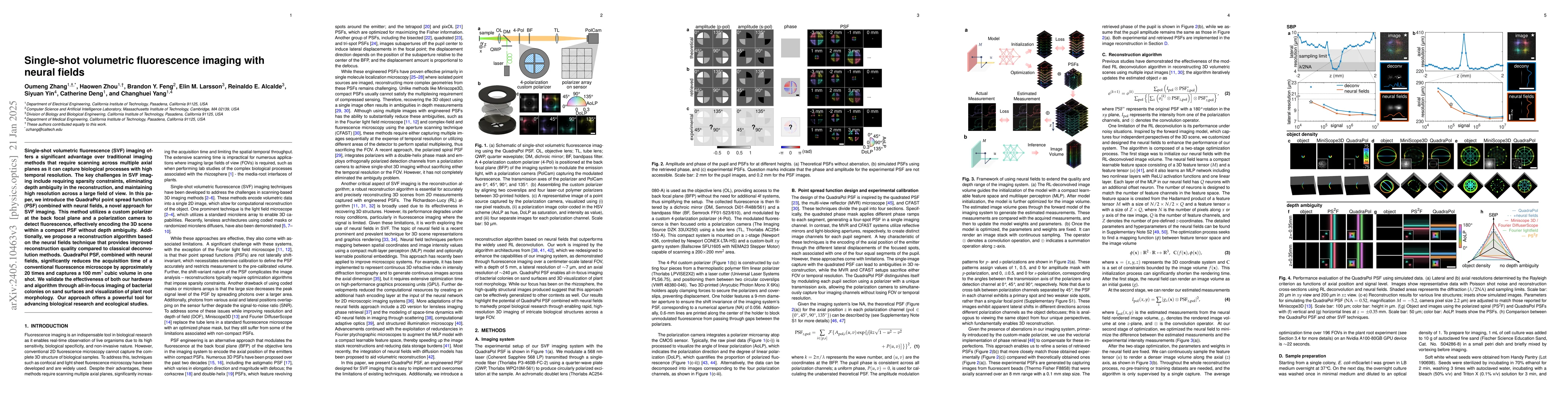Thumbnail for Single-shot volumetric fluorescence imaging with neural fields