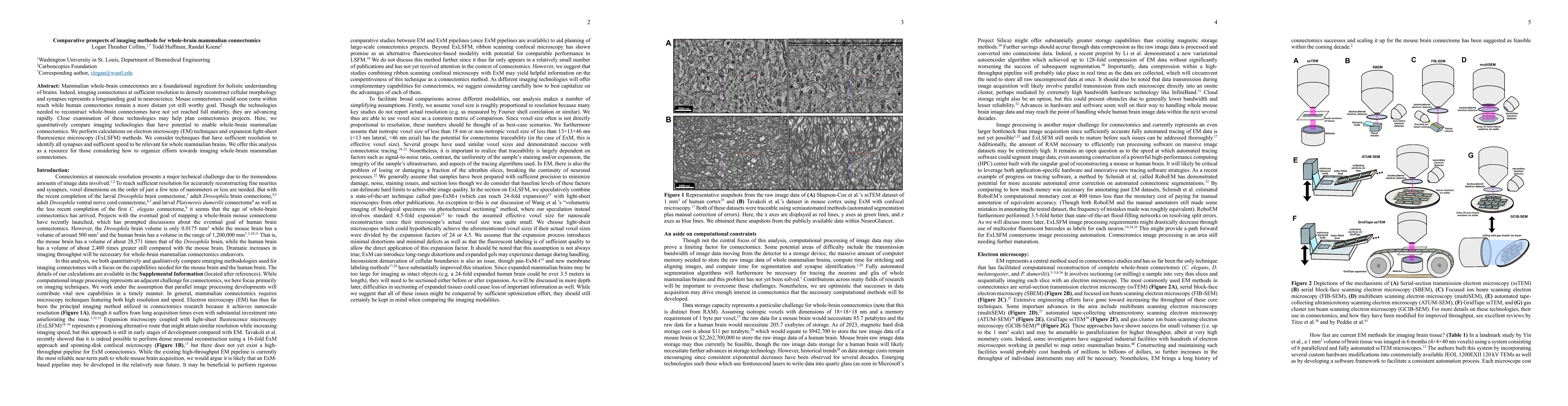 Thumbnail for Comparative prospects of imaging methods for whole-brain mammalian
  connectomics