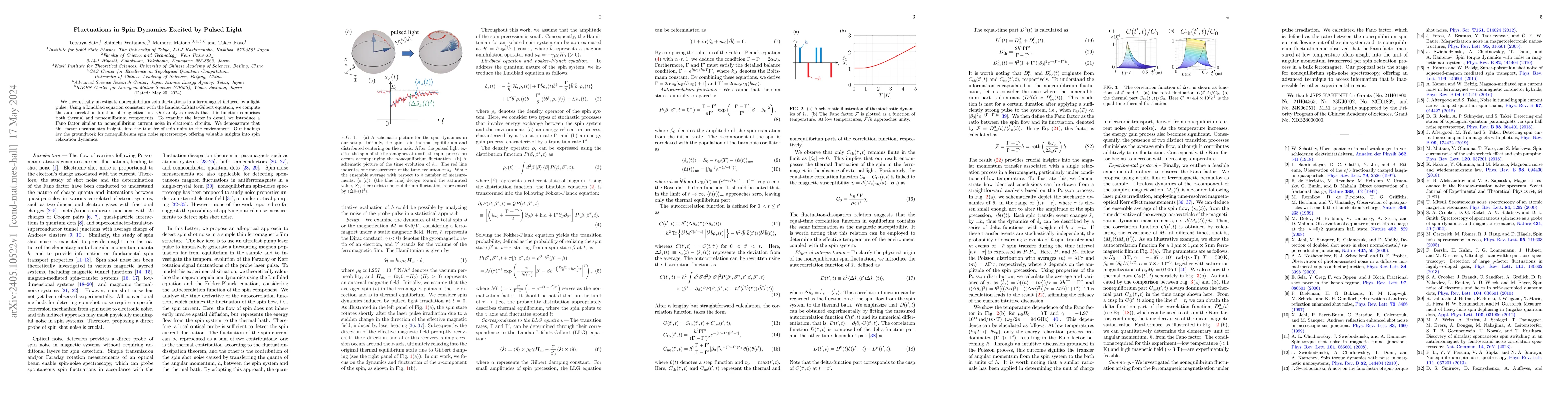 Thumbnail for Fluctuations in Spin Dynamics Excited by Pulsed Light
