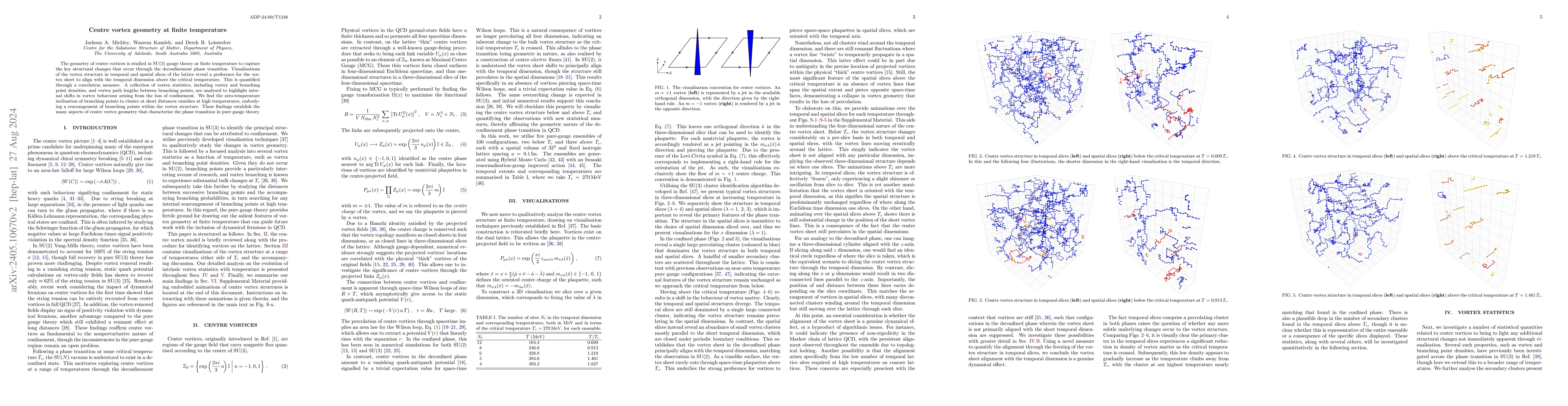 Thumbnail for Centre vortex geometry at finite temperature