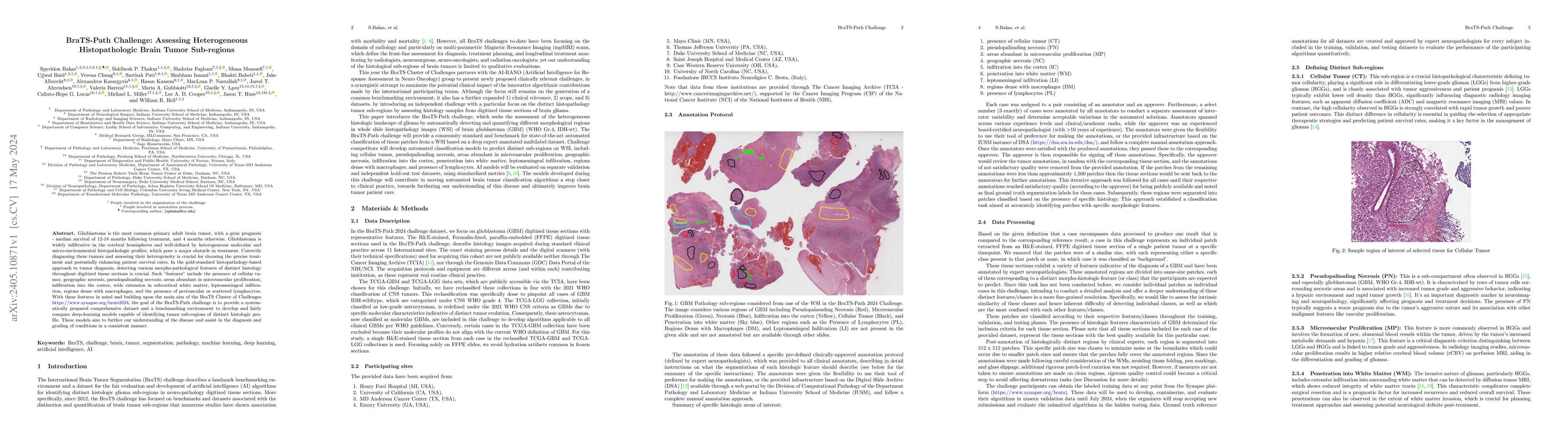 Thumbnail for BraTS-Path Challenge: Assessing Heterogeneous Histopathologic Brain
  Tumor Sub-regions