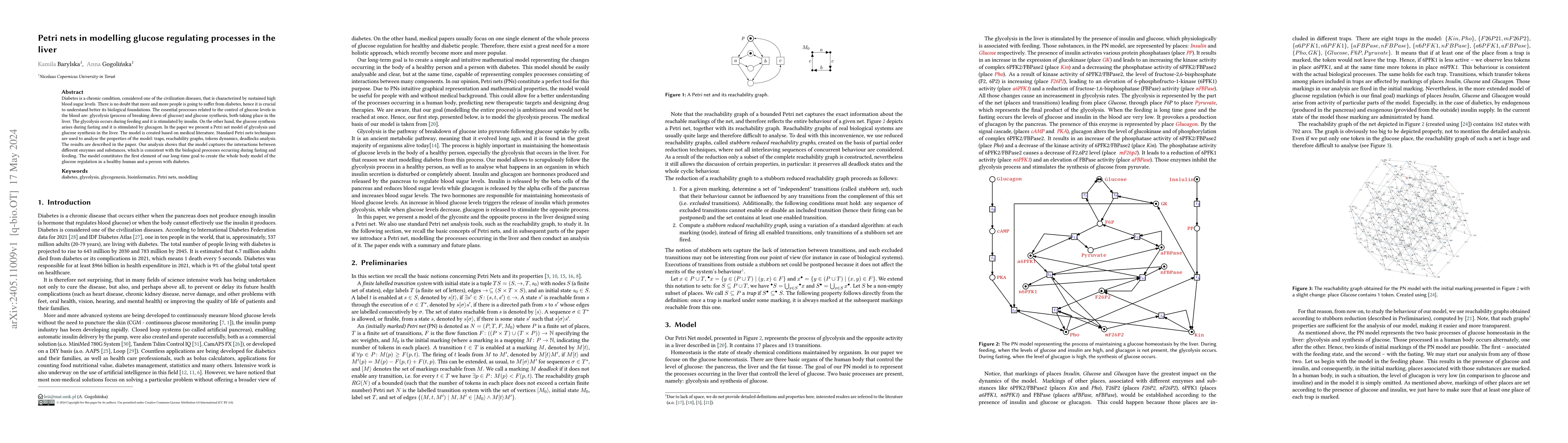 Thumbnail for Petri nets in modelling glucose regulating processes in the liver