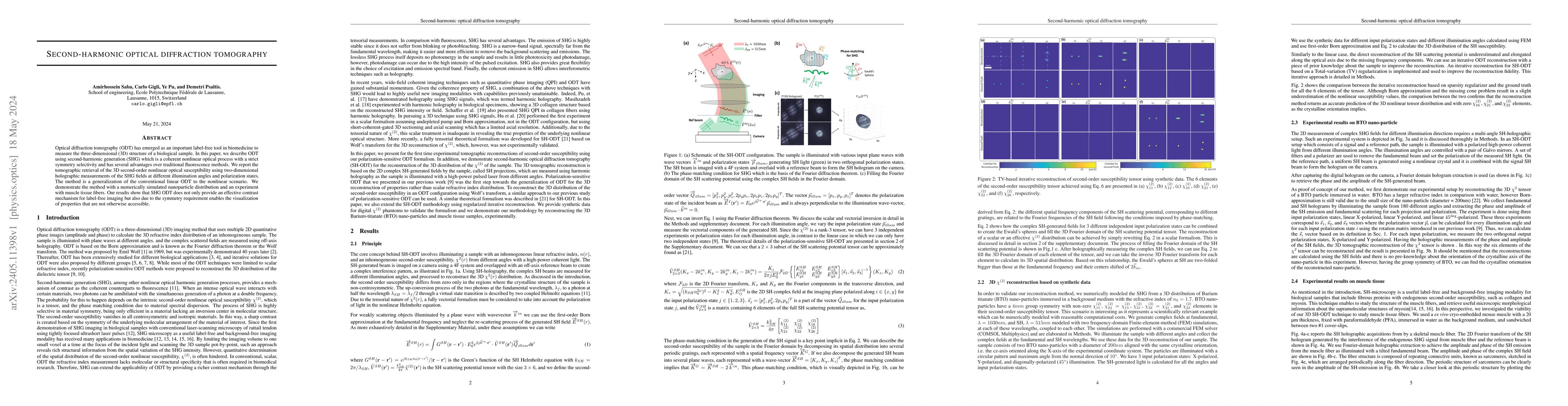 Thumbnail for Second-harmonic optical diffraction tomography