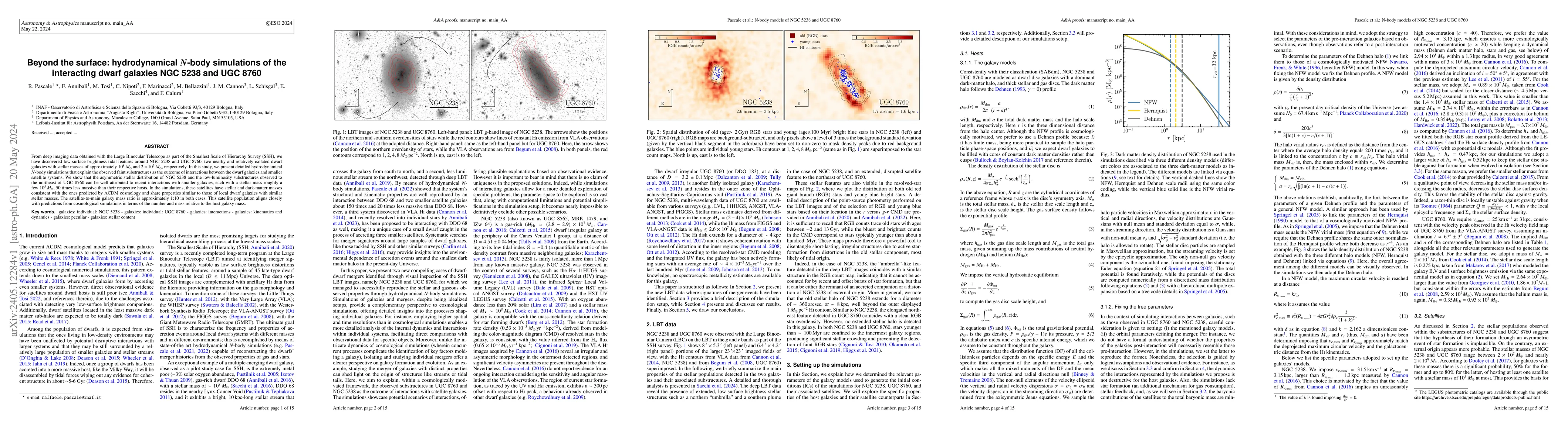Thumbnail for Beyond the surface: hydrodynamical N-body simulations of the interacting
  dwarf galaxies NGC 5238 and UGC 8760