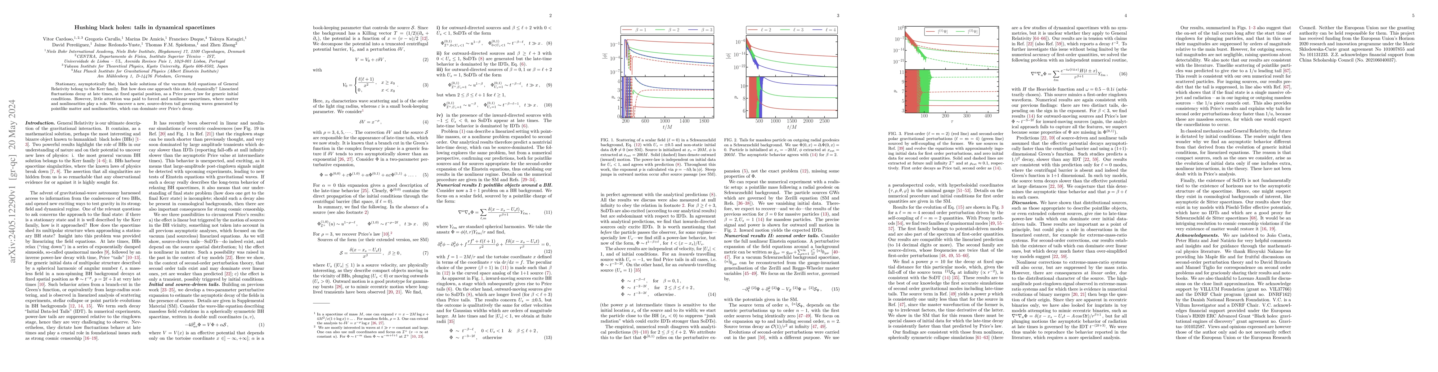 Thumbnail for Hushing black holes: tails in dynamical spacetimes