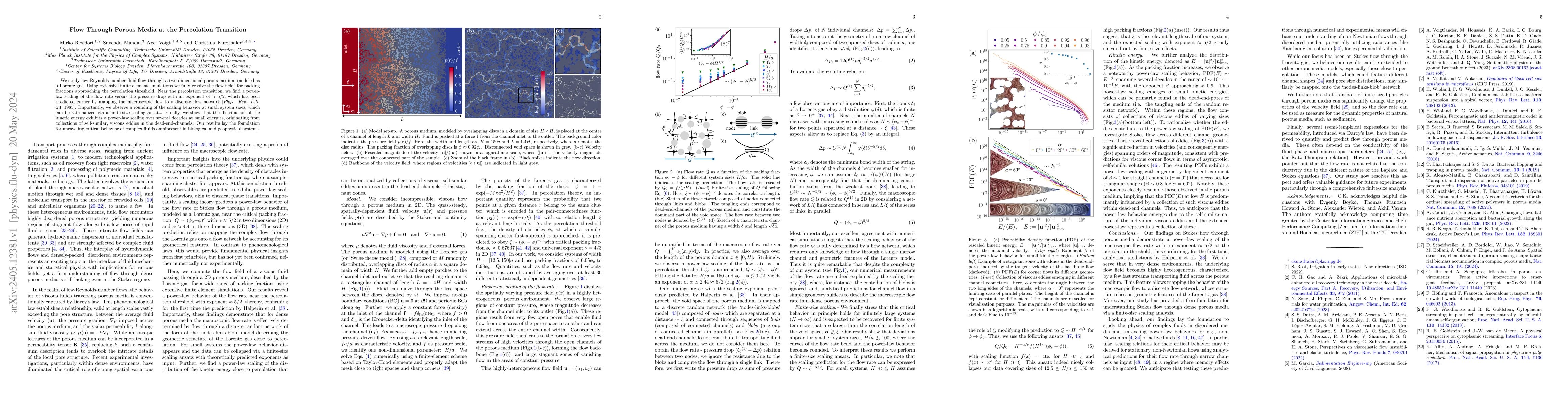 Thumbnail for Flow Through Porous Media at the Percolation Transition