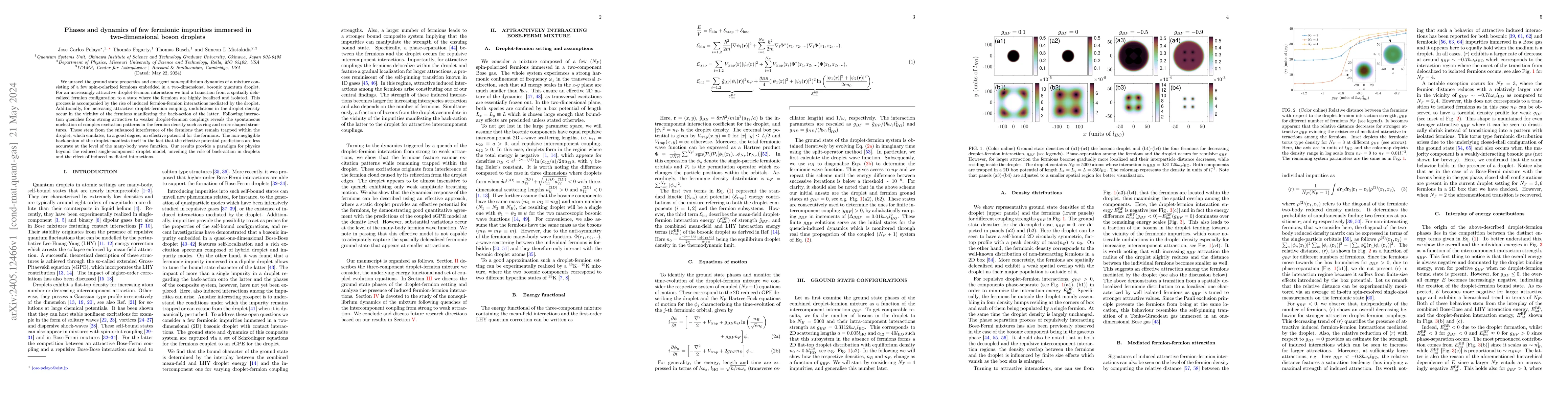 Thumbnail for Phases and dynamics of few fermionic impurities immersed in
  two-dimensional boson droplets
