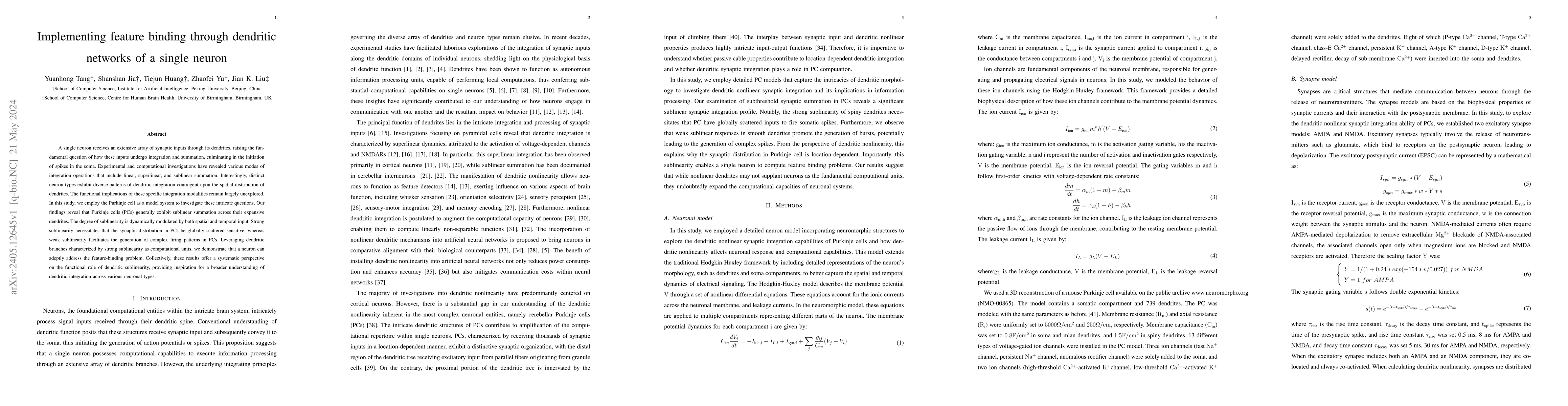 Thumbnail for Implementing feature binding through dendritic networks of a single
  neuron