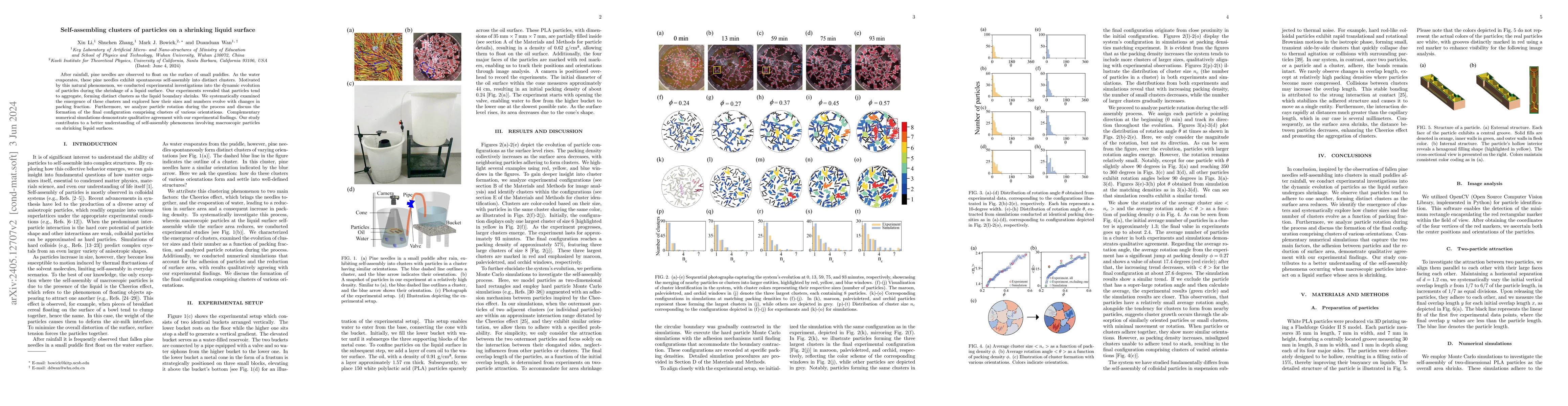 Thumbnail for Self-assembling clusters of particles on a shrinking liquid surface