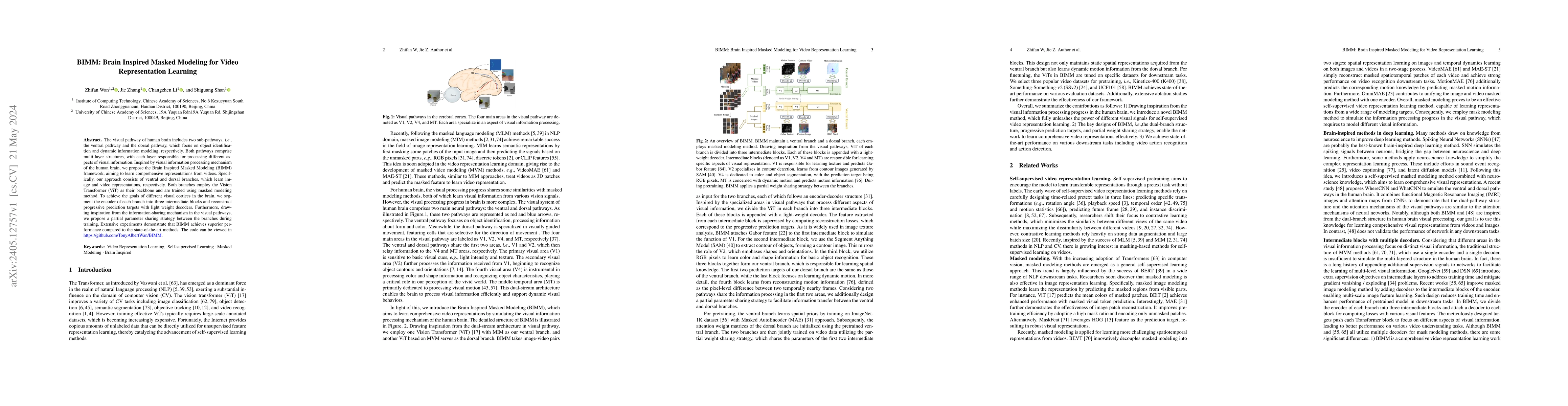 Thumbnail for BIMM: Brain Inspired Masked Modeling for Video Representation Learning