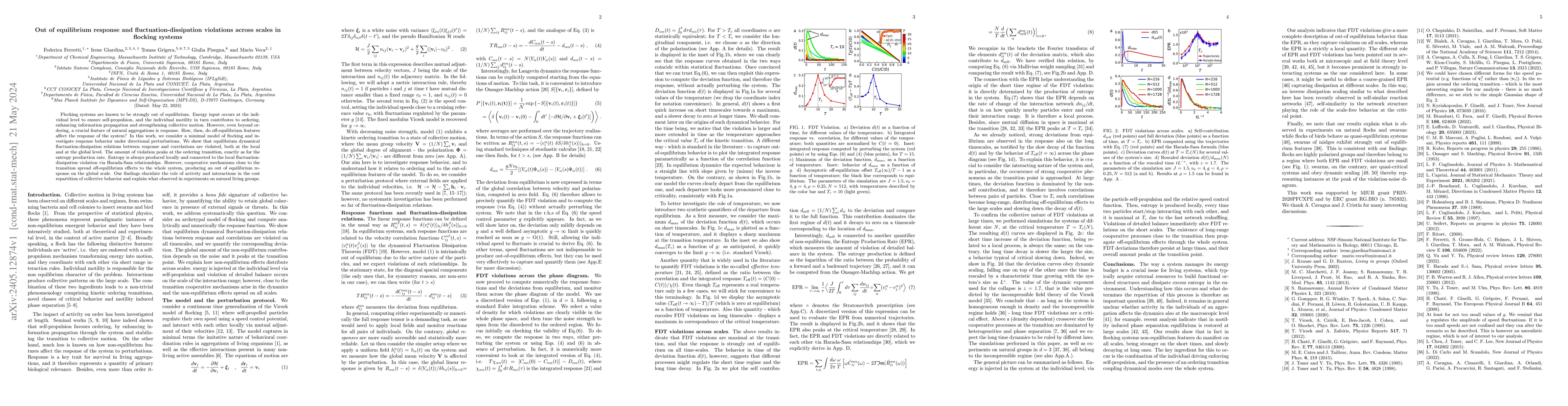 Thumbnail for Out of equilibrium response and fluctuation-dissipation violations
  across scales in flocking systems