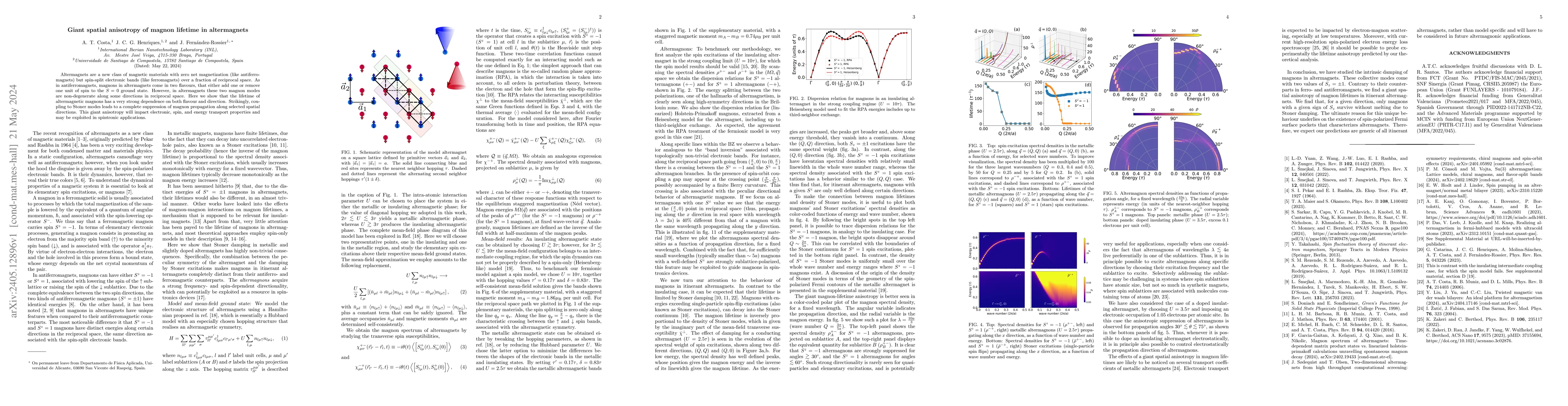 Thumbnail for Giant spatial anisotropy of magnon lifetime in altermagnets