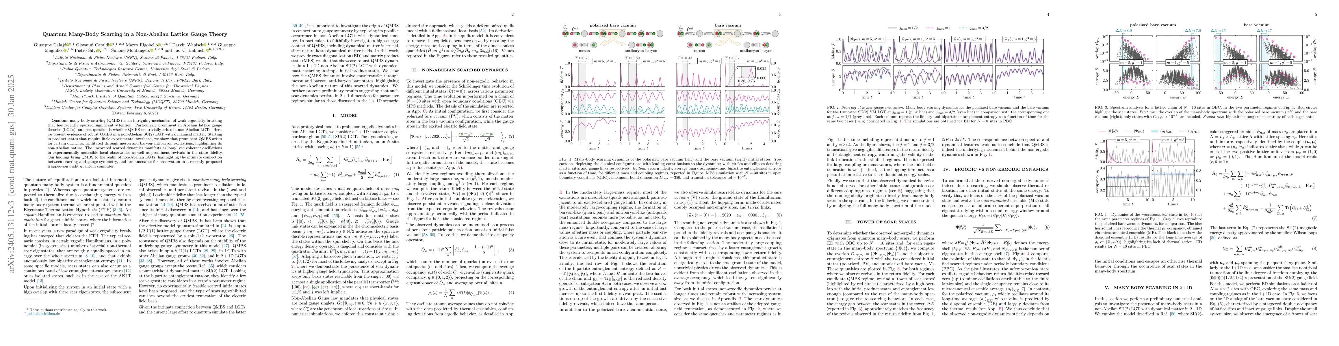 Thumbnail for Quantum Many-Body Scarring in a Non-Abelian Lattice Gauge Theory