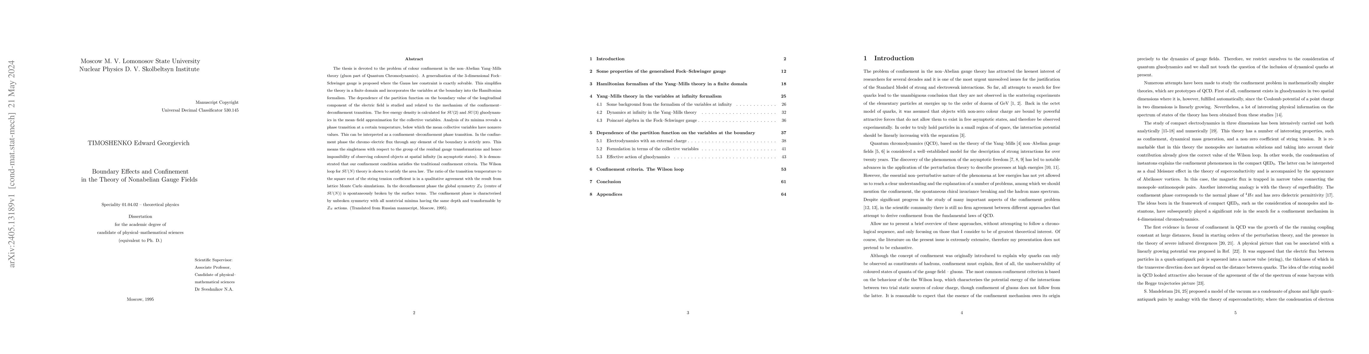 Thumbnail for Boundary Effects and Confinement in the Theory of Nonabelian Gauge
  Fields