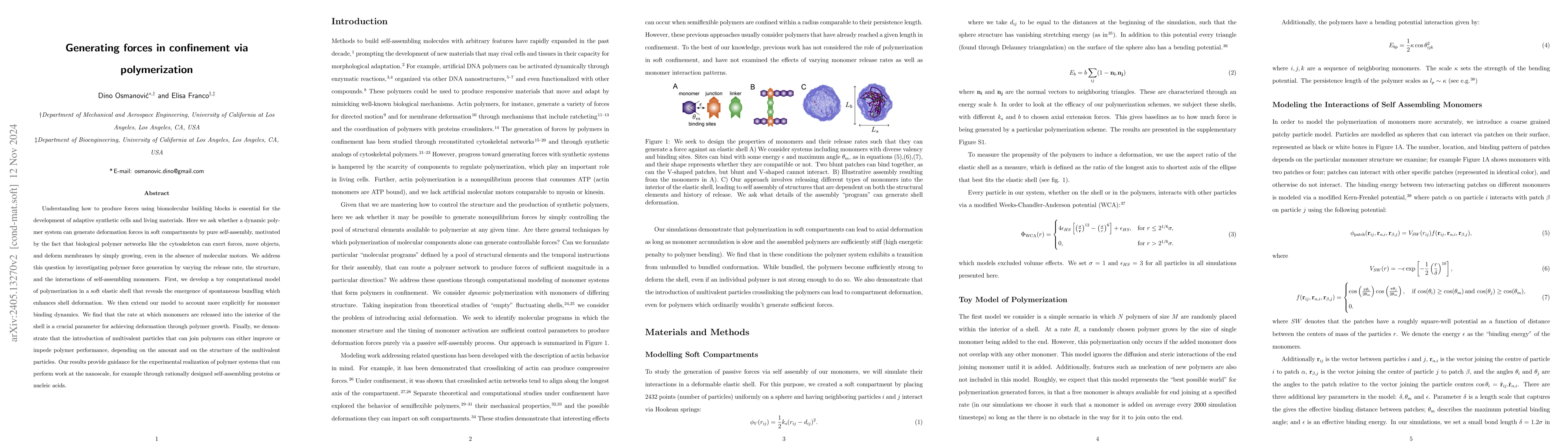 Thumbnail for Generating forces in confinement via polymerization